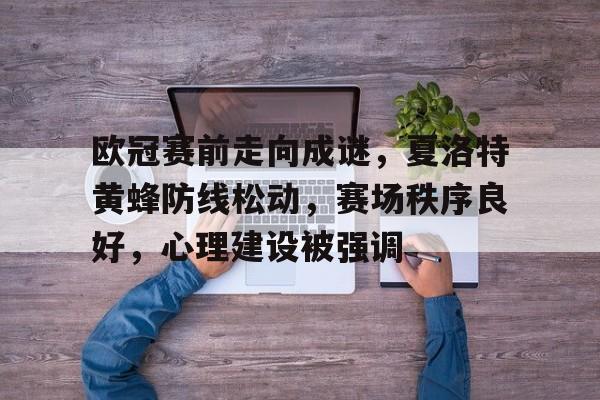 九游体育官方网站-欧冠赛前走向成谜，夏洛特黄蜂防线松动，赛场秩序良好，心理建设被强调的简单介绍